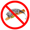 Possum Removal Mentone